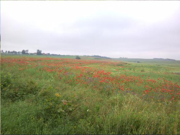 Farma Fajne Miejsce Jeziorany